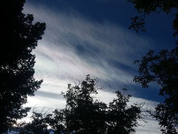 Low angle view of silhouette trees against sky