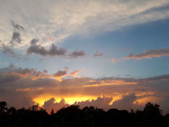 Low angle view of silhouette trees against sky