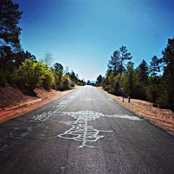 Empty road along trees