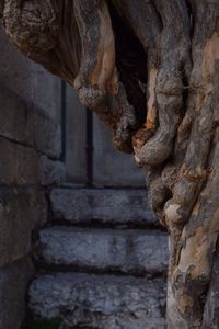 Close-up of stone wall