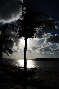 Silhouette palm tree by sea against sky