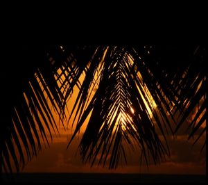 Low angle view of illuminated lights against sky at night