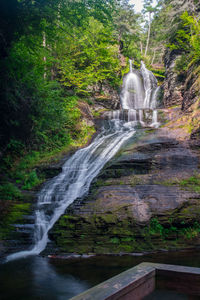 View of waterfall in forest