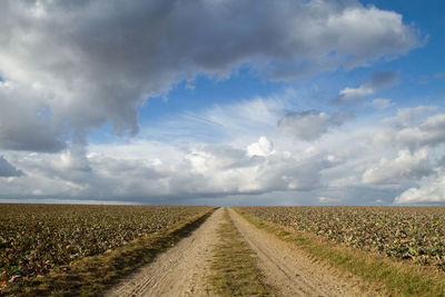 Empty road amidst agricultural field against sky