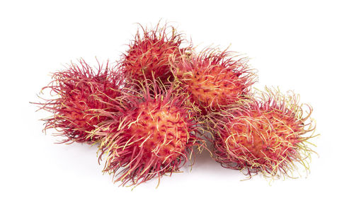 Close-up of fruits against white background