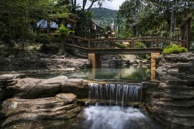 Bridge over river in forest