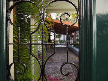 Close-up of metal gate