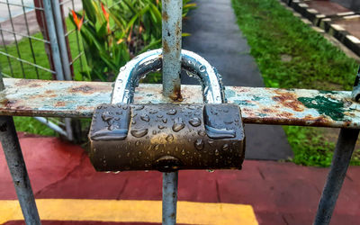 Close-up of padlocks on railing