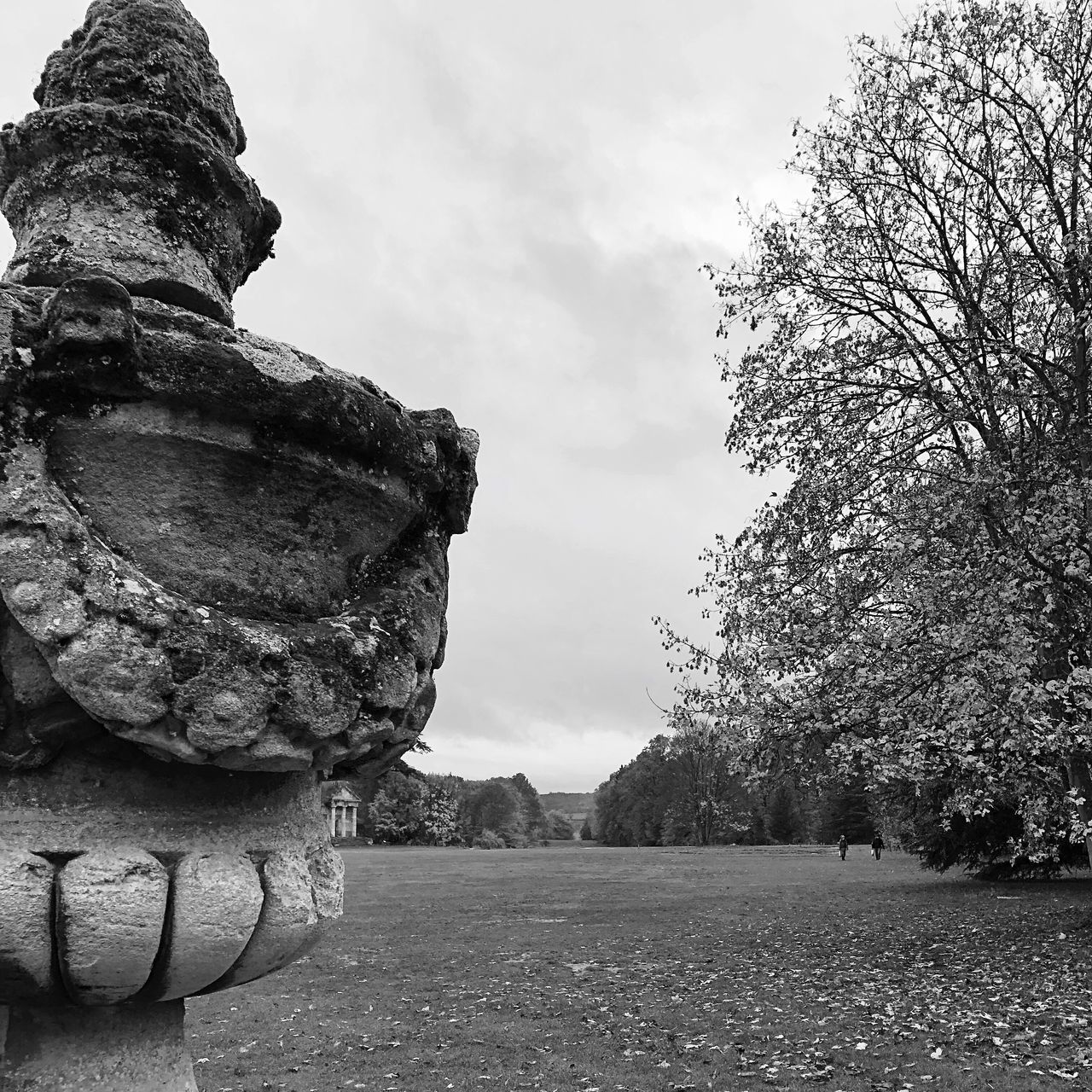 sky, plant, tree, nature, day, no people, grass, field, land, tranquility, outdoors, cloud - sky, solid, landscape, tranquil scene, stack, environment, art and craft, rock, growth, wheel