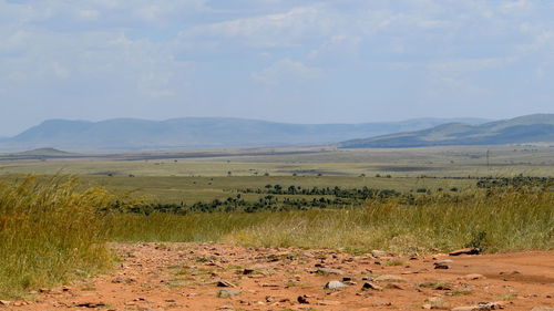 The savannah grassland against a mountain background, masai mara national reserve, kenya