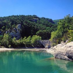 Scenic view of river in forest against clear blue sky