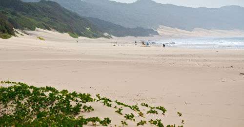 Scenic view of beach against sky