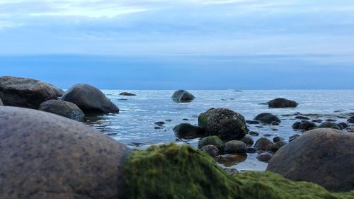 Scenic view of sea against clear sky