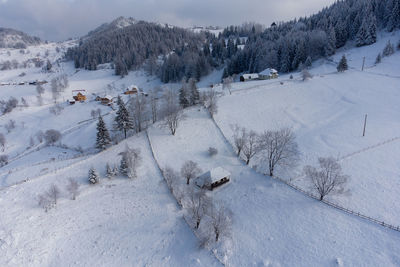 Snow covered land and trees on field during winter