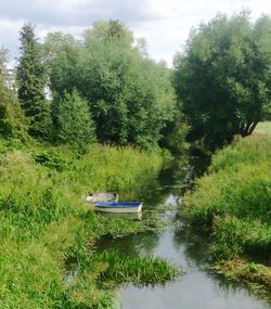 Boats in river