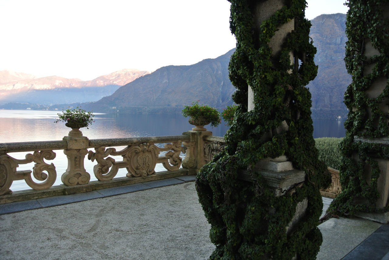 SCENIC VIEW OF MOUNTAINS AND TREE AGAINST SKY