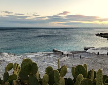 Scenic view of sea against sky during sunset