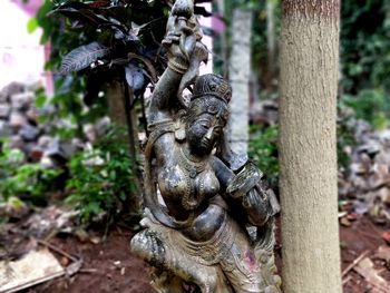 Close-up of statue against tree trunk