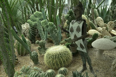 Close-up of cactus plant against trees