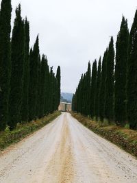 Empty road along trees and plants against sky