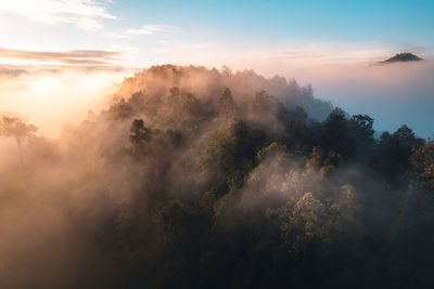 Scenic view of trees against sky during sunset