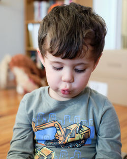 Portrait of a young boy of three playing with a toy in the living room