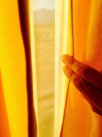 Close-up of hands against window