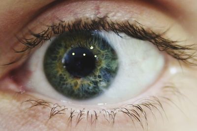 Close-up portrait of human eye