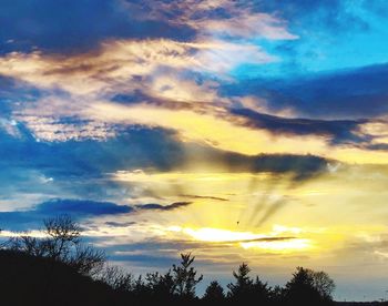 Low angle view of silhouette trees against sky during sunset