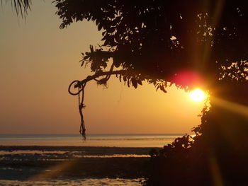 Silhouette tree by sea against sky during sunset at beach in havelock island, andaman nicobar