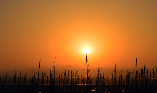 Sailboats moored at harbor against orange sky during sunset