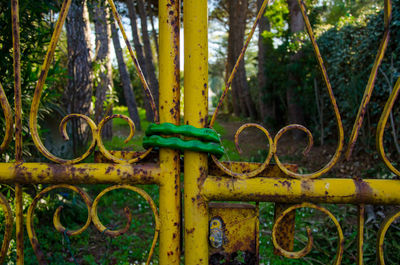 Close-up of metal plant against trees
