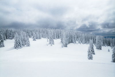 Snow covered landscape against sky