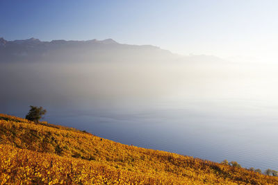 Scenic view of lake and mountains against sky