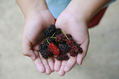 Close-up of hand holding berries