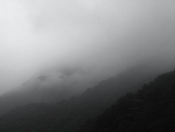 fog