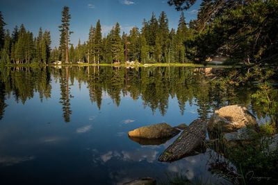 Scenic view of lake by trees against sky