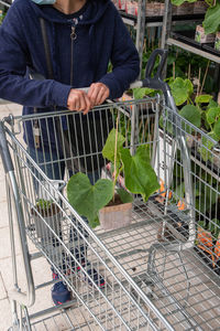 A young woman in mask chooses and buys seedlings in a garden center whith plants