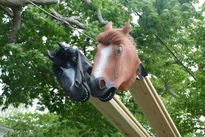 Close-up of a horse on tree