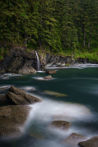 Hiking the juan de fuca trail near sambrio beach, bc, canada