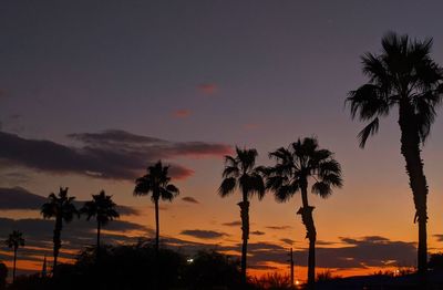 Silhouette palm trees against romantic sky at sunset