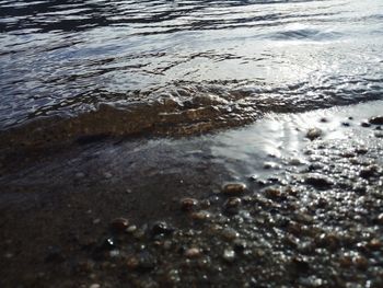 Surface level of wet sand on beach