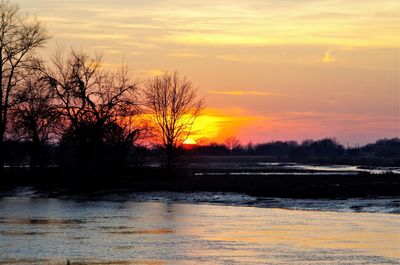 Silhouette of bare trees in lake during sunset