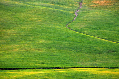 Full frame shot of farm