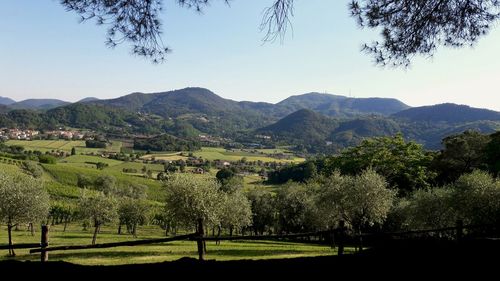 Scenic view of landscape against clear sky
