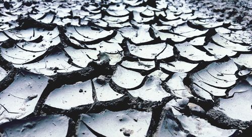Full frame shot of leaf