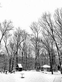 Bare trees on snow covered landscape against clear sky