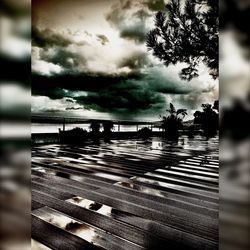 Close-up of tree against sky