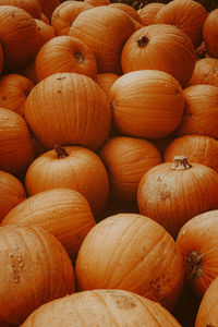 Full frame shot of pumpkins