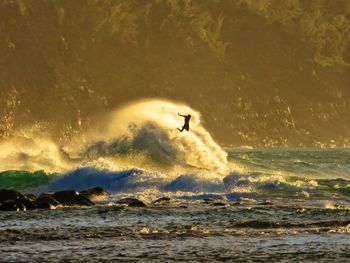 View of bird flying over sea